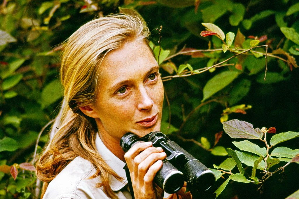 A woman standing among trees, holding a pair of binoculars